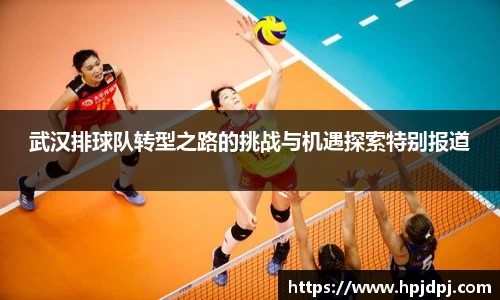 武汉排球队转型之路的挑战与机遇探索特别报道